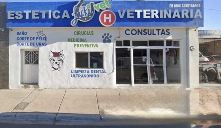 Imagen 25 02 26 a las 9.37 a.m 768x446